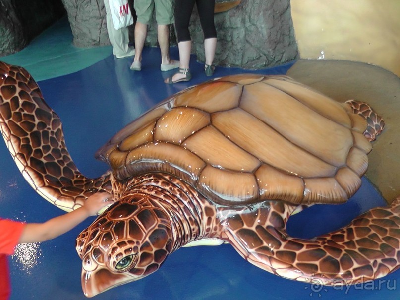 Барселона – сияющая красавица у моря!