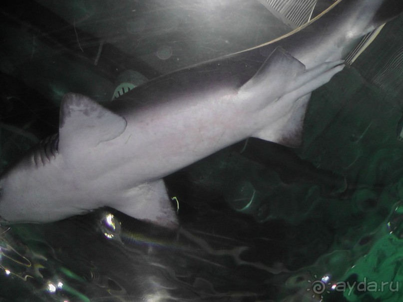 Барселона – сияющая красавица у моря!