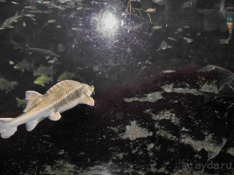 Барселона – сияющая красавица у моря!