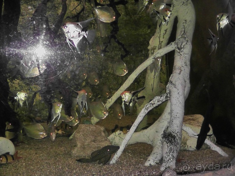 Барселона – сияющая красавица у моря!