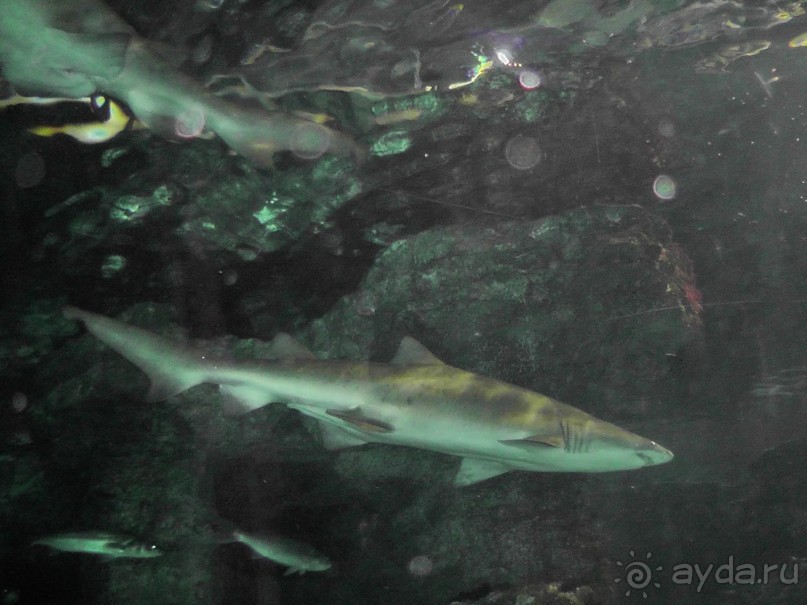 Барселона – сияющая красавица у моря!