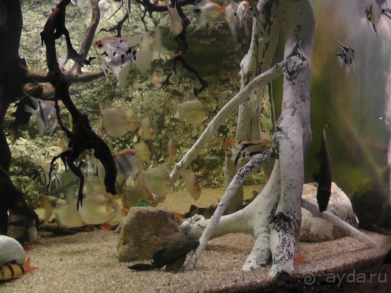 Барселона – сияющая красавица у моря!