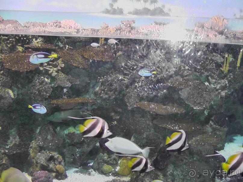 Барселона – сияющая красавица у моря!