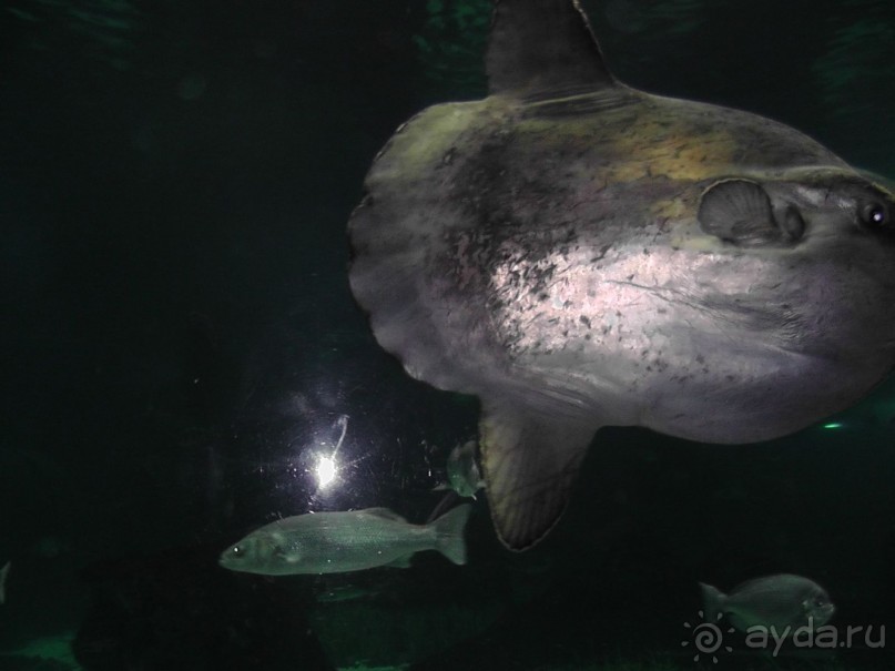 Барселона – сияющая красавица у моря!