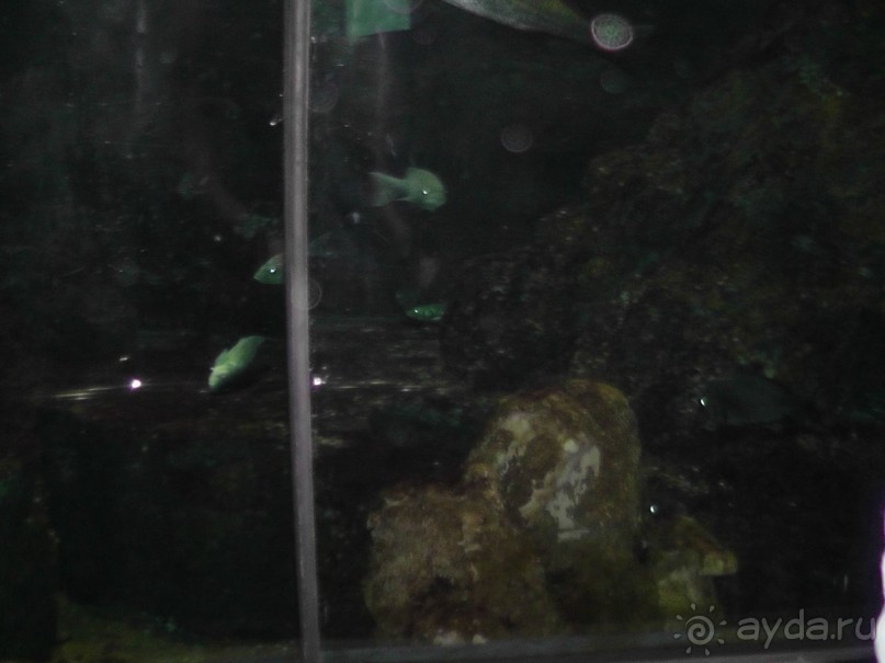 Барселона – сияющая красавица у моря!