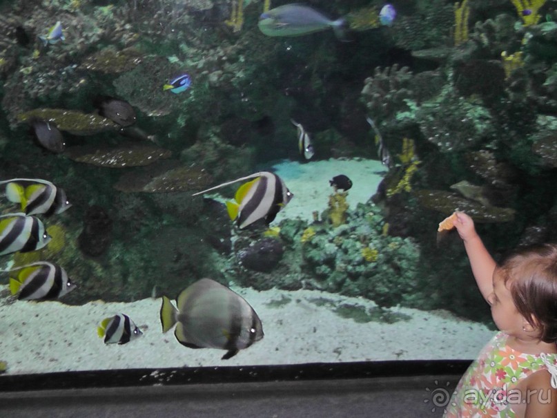 Барселона – сияющая красавица у моря!