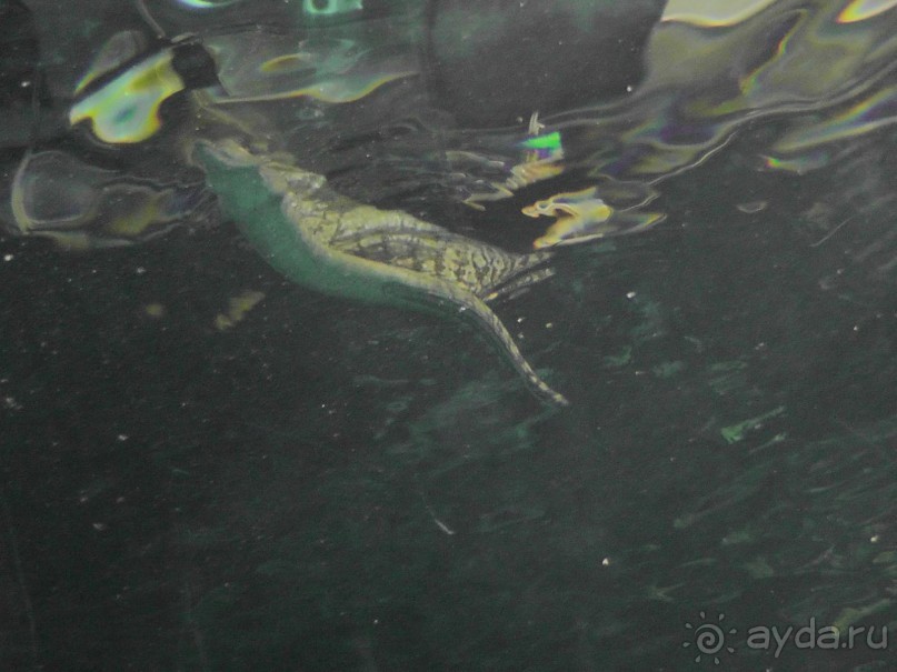 Барселона – сияющая красавица у моря!