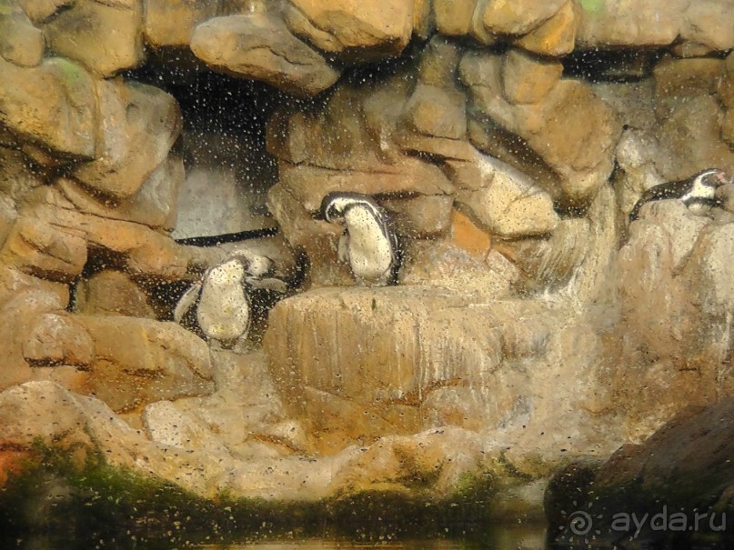 Барселона – сияющая красавица у моря!