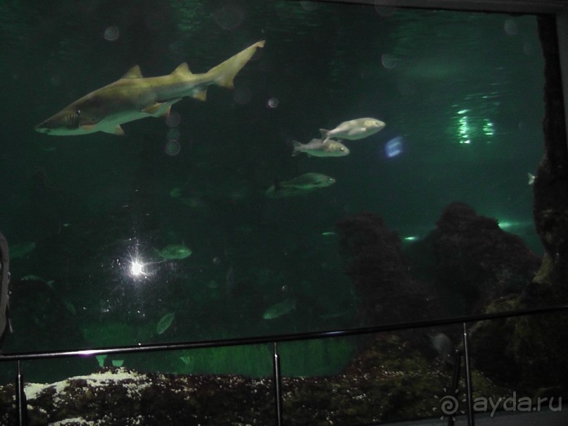 Барселона – сияющая красавица у моря!