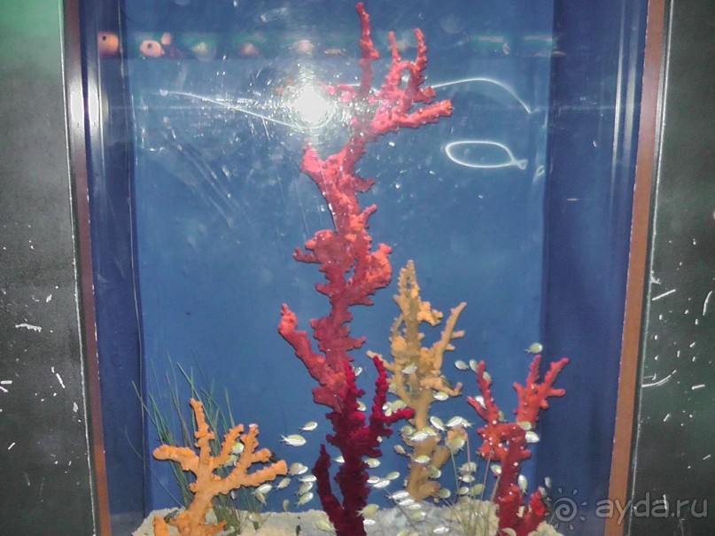 Барселона – сияющая красавица у моря!