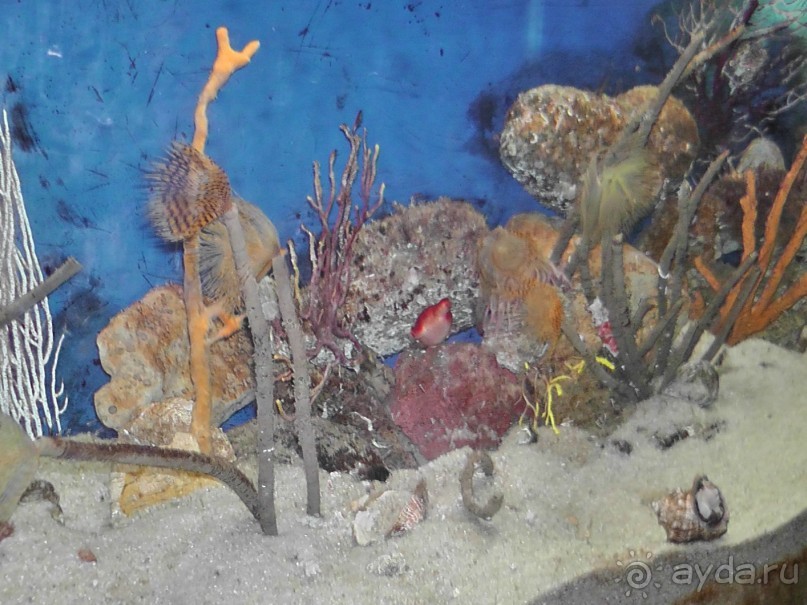 Барселона – сияющая красавица у моря!