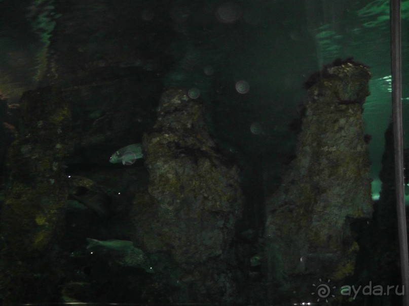 Барселона – сияющая красавица у моря!