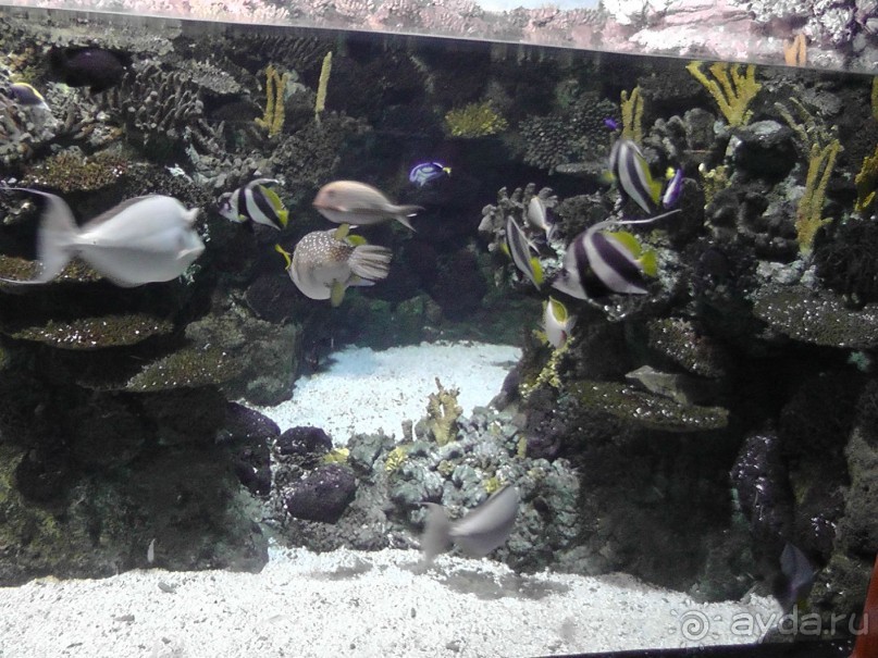 Барселона – сияющая красавица у моря!