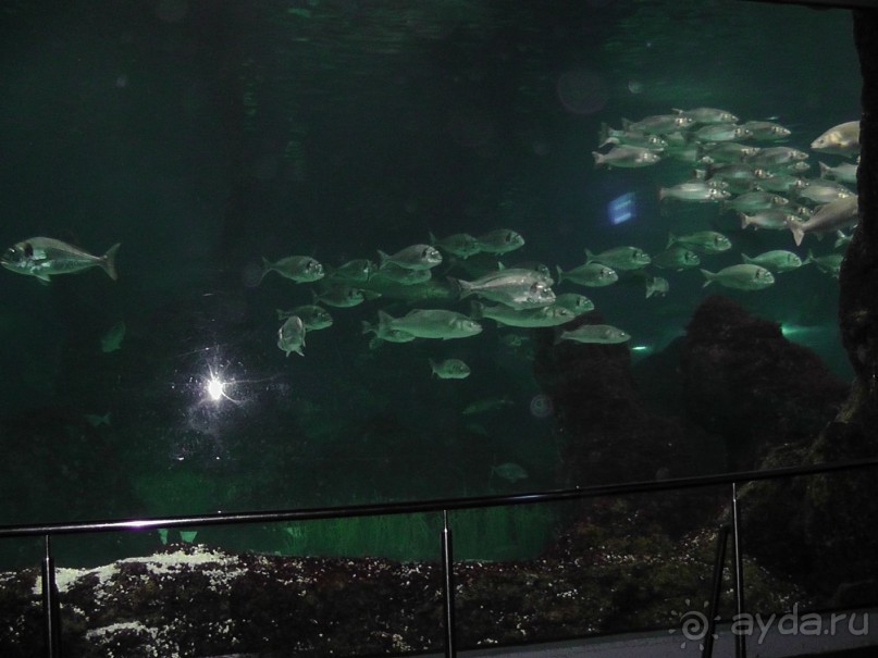 Барселона – сияющая красавица у моря!