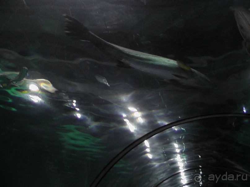 Барселона – сияющая красавица у моря!