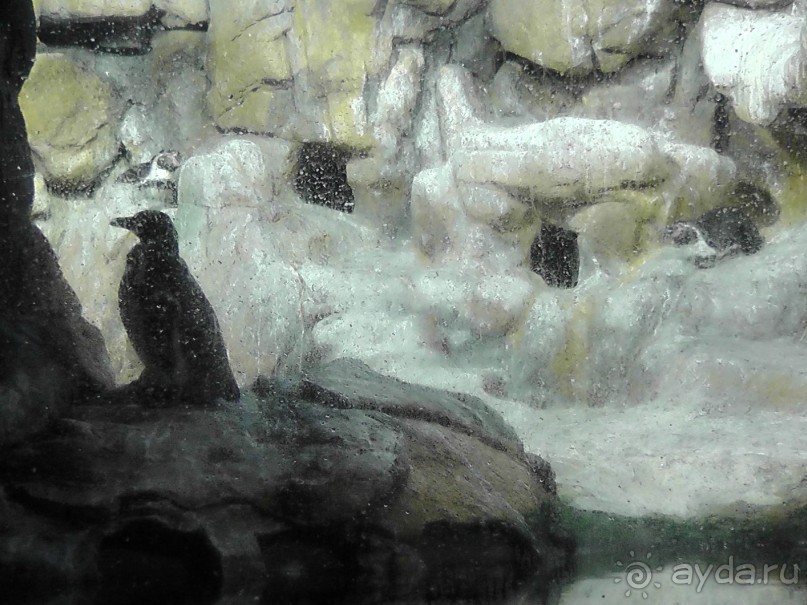 Барселона – сияющая красавица у моря!