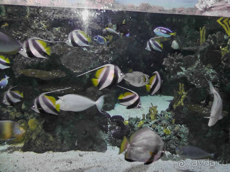 Барселона – сияющая красавица у моря!