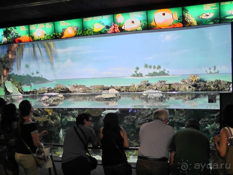 Барселона – сияющая красавица у моря!