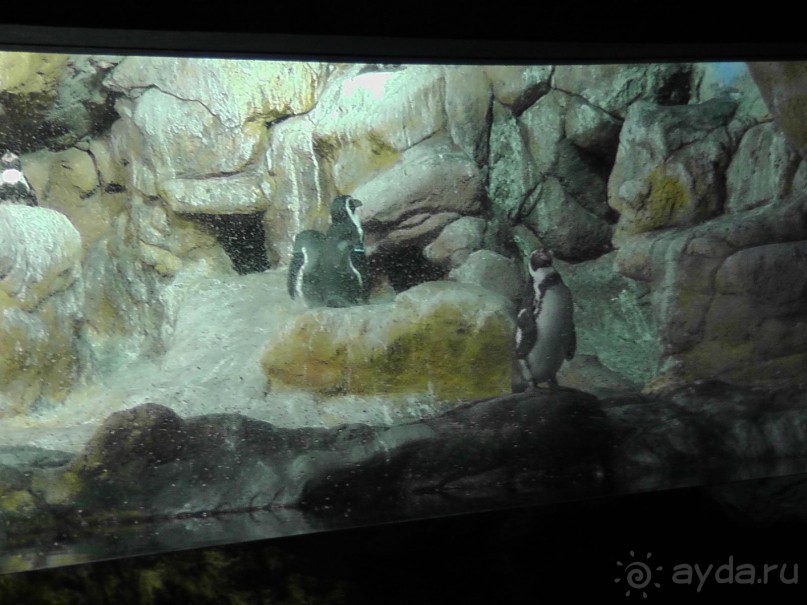 Барселона – сияющая красавица у моря!