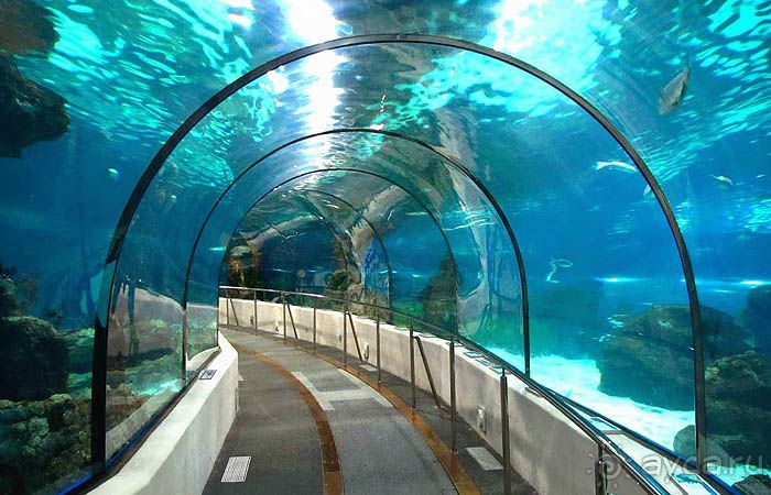 Барселона – сияющая красавица у моря!