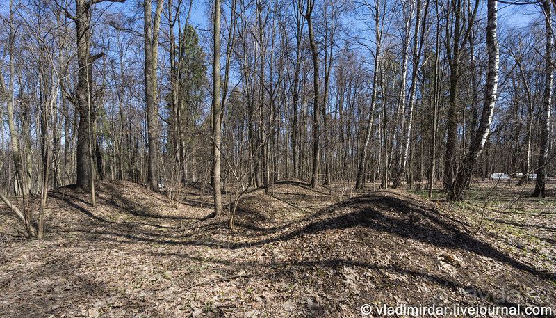 Москва-всё в этом слове! Часть II -Царицыно, Москва-сити, Новодевичий, Высоко-Петровский монастырь 