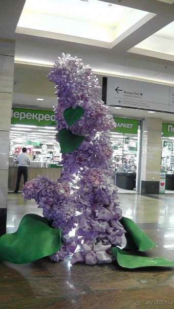 Москва-всё в этом слове! Часть II -Царицыно, Москва-сити, Новодевичий, Высоко-Петровский монастырь 