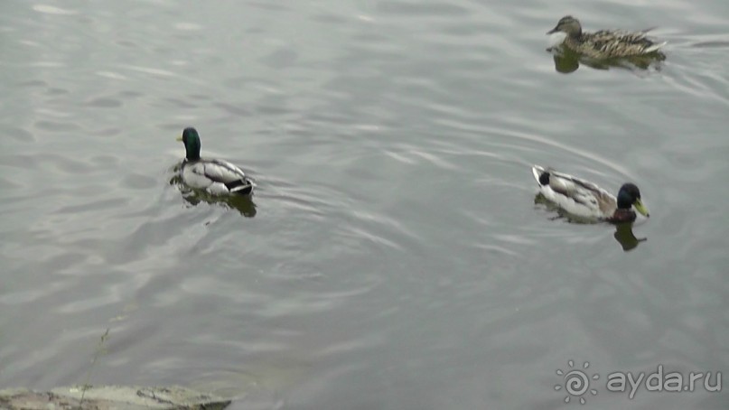 Москва-всё в этом слове! Часть II -Царицыно, Москва-сити, Новодевичий, Высоко-Петровский монастырь 