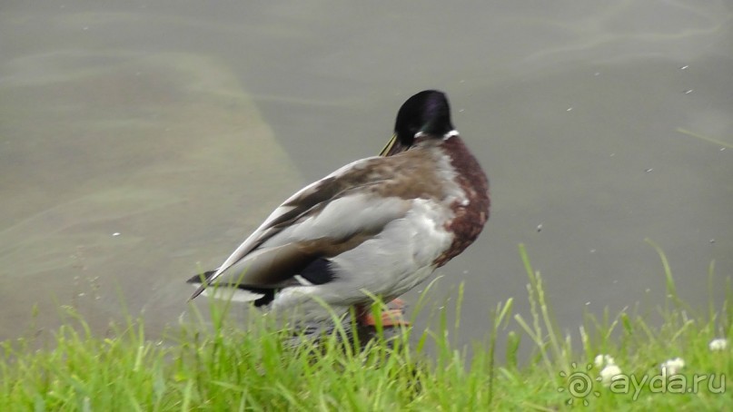Москва-всё в этом слове! Часть II -Царицыно, Москва-сити, Новодевичий, Высоко-Петровский монастырь 