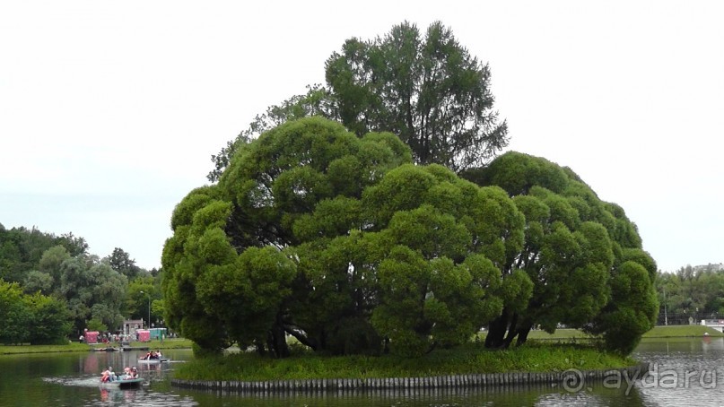 Москва-всё в этом слове! Часть II -Царицыно, Москва-сити, Новодевичий, Высоко-Петровский монастырь 