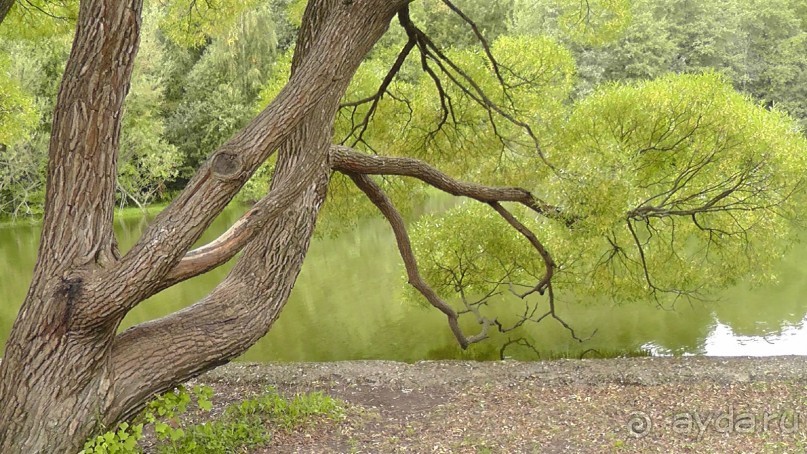 Москва - всё в этом слове! Измайлово, парк и Кремль.