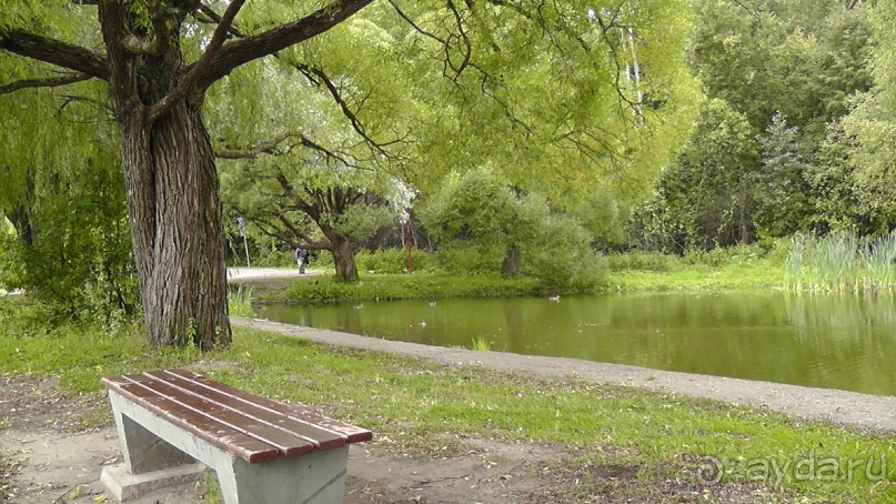 Москва - всё в этом слове! Измайлово, парк и Кремль.