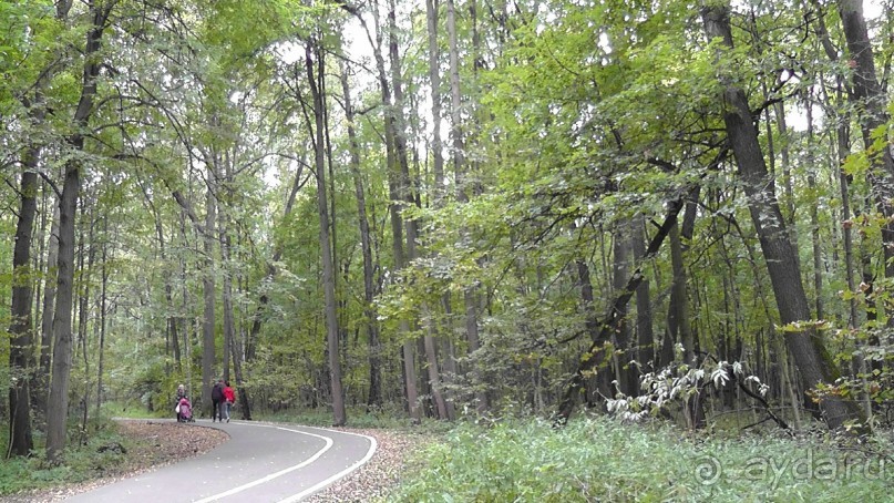 Москва - всё в этом слове! Измайлово, парк и Кремль.