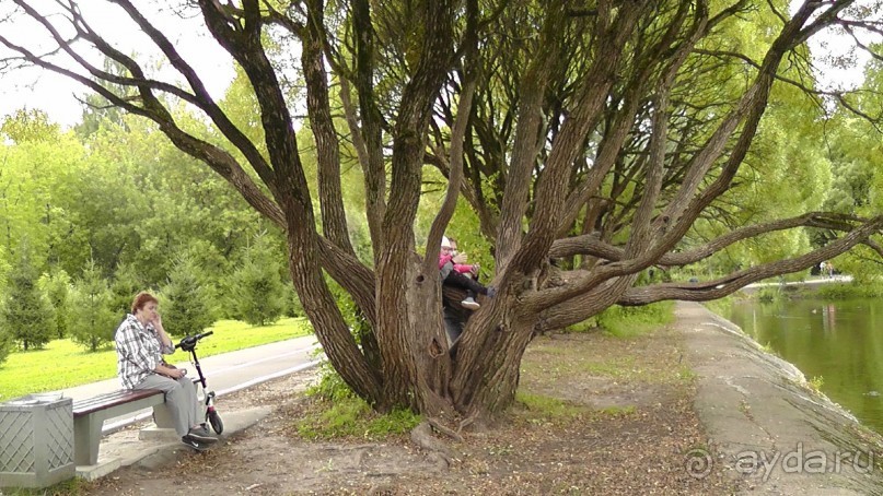 Москва - всё в этом слове! Измайлово, парк и Кремль.