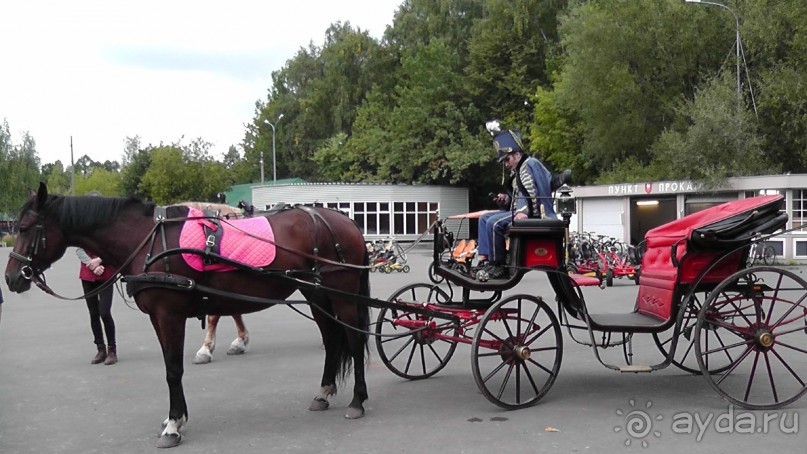 Москва - всё в этом слове! Измайлово, парк и Кремль.