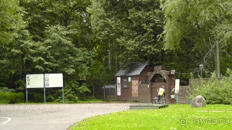 Москва - всё в этом слове! Измайлово, парк и Кремль.