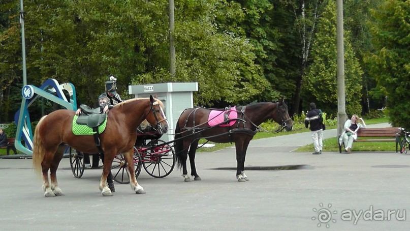 Москва - всё в этом слове! Измайлово, парк и Кремль.
