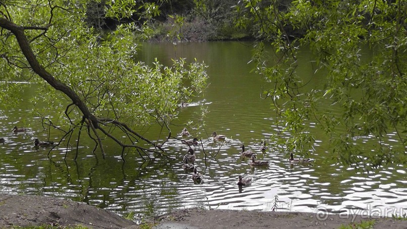 Москва - всё в этом слове! Измайлово, парк и Кремль.