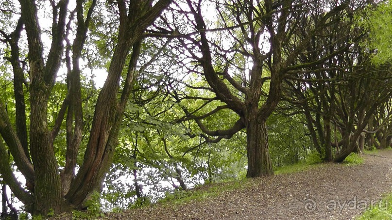 Москва - всё в этом слове! Измайлово, парк и Кремль.