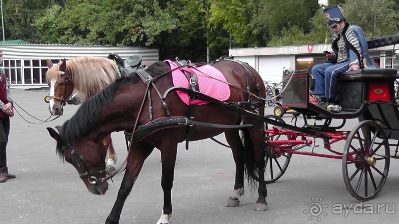 Москва - всё в этом слове! Измайлово, парк и Кремль.