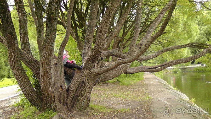 Москва - всё в этом слове! Измайлово, парк и Кремль.