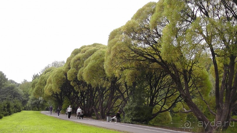 Москва - всё в этом слове! Измайлово, парк и Кремль.