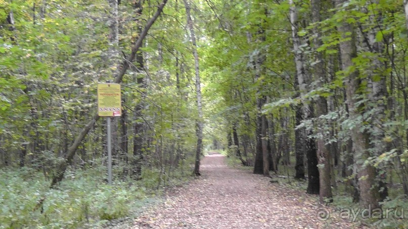 Москва - всё в этом слове! Измайлово, парк и Кремль.