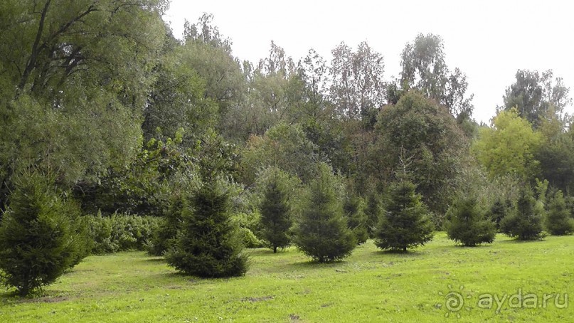 Москва - всё в этом слове! Измайлово, парк и Кремль.