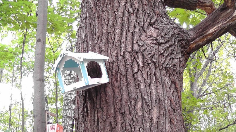 Москва - всё в этом слове! Измайлово, парк и Кремль.