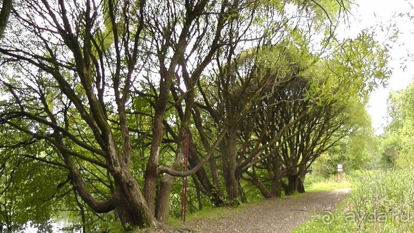 Москва - всё в этом слове! Измайлово, парк и Кремль.