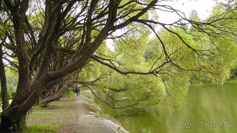 Москва - всё в этом слове! Измайлово, парк и Кремль.