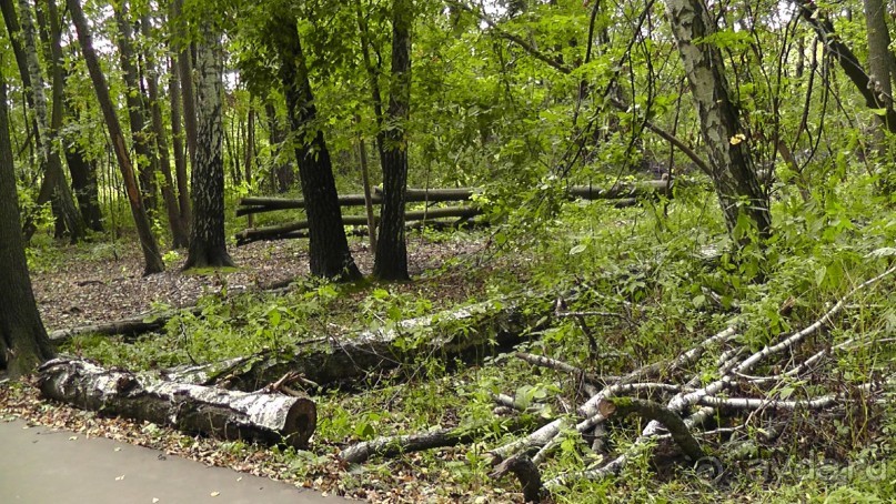 Москва - всё в этом слове! Измайлово, парк и Кремль.