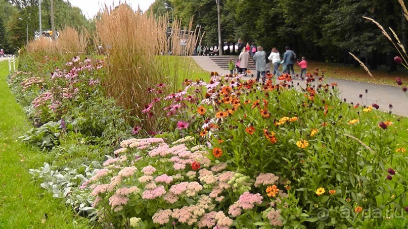 Москва - всё в этом слове! Измайлово, парк и Кремль.