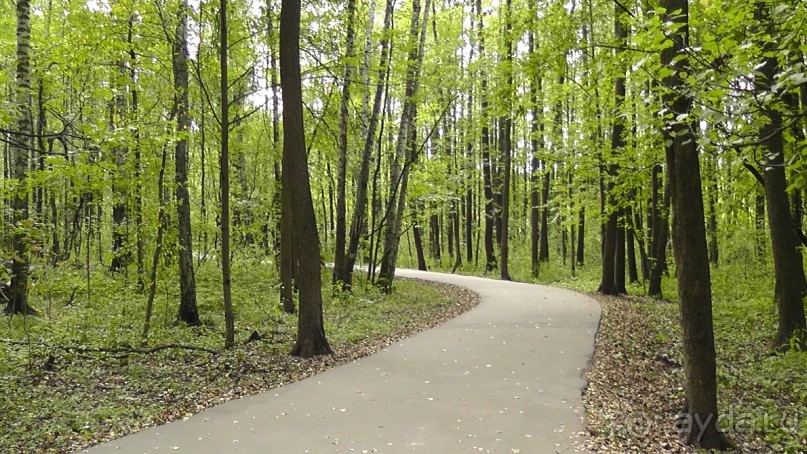 Москва - всё в этом слове! Измайлово, парк и Кремль.