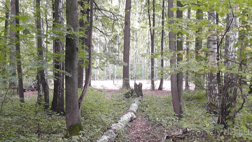 Москва - всё в этом слове! Измайлово, парк и Кремль.